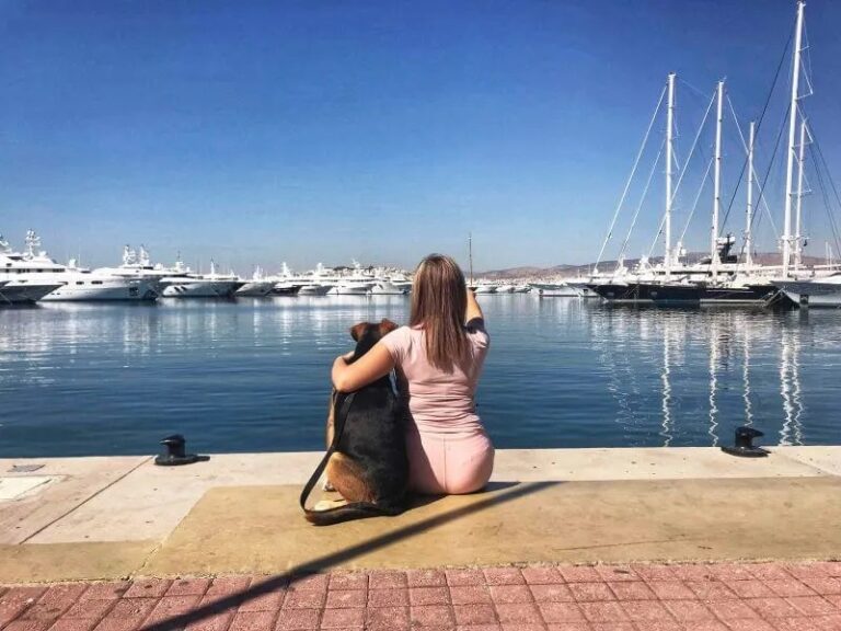 Hammock Swings And Summer time time time Things