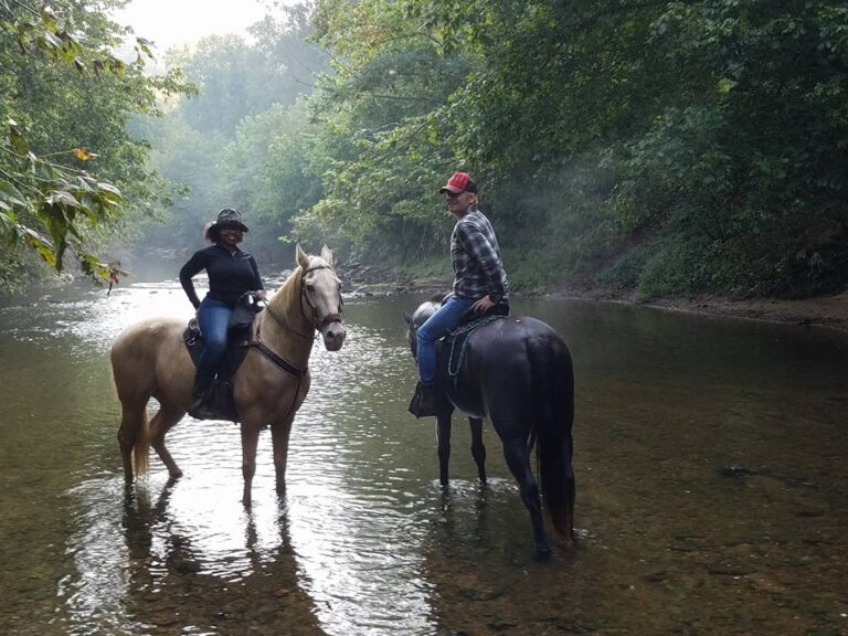 Discover Horse Riding in Birmingham: Top Experiences at Bournevale Stables