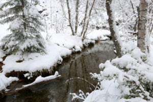 Reliable Solutions for Winter Pond Filtration Systems