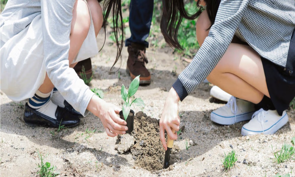 5 Ways to Make a Lasting Impact in Your Community